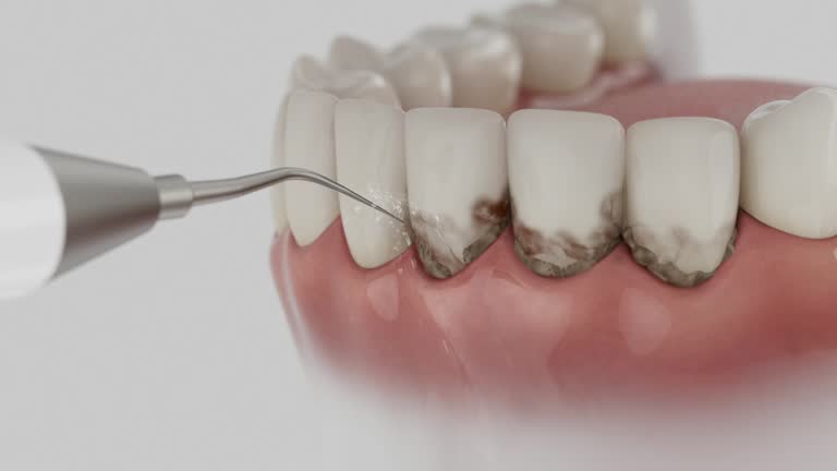 Reliable Dental contractor in Wiggins, MS by Dentist Open Now
